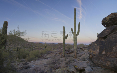 沙漠,早晨,天空,水平画幅,无人,夏天,户外,云景,非凡的,南山公园