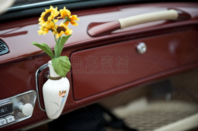 大众汽车,仪表板,仪表板小柜,图像聚焦技术,选择对焦,水平画幅,无人,特写,彩色图片,花瓶