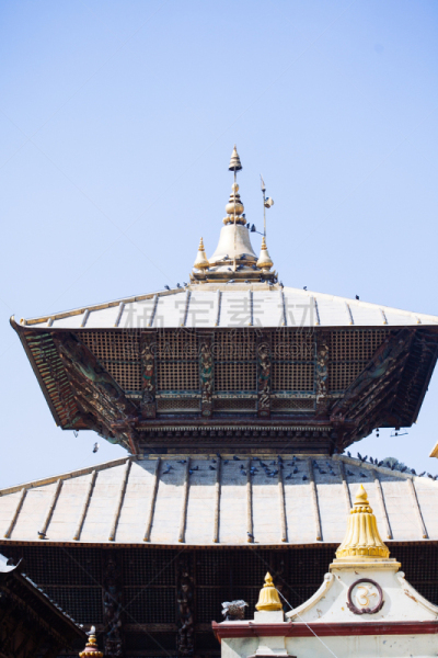 加德满都,尼泊尔,帕苏帕堤拿,寺庙,传统,国内著名景点,城市生活,华丽的,古董,著名景点