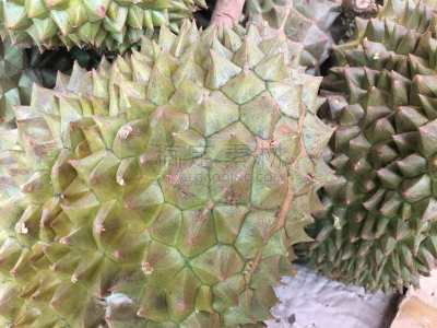 榴莲,泰国,清新,股票行情,罗勇,弹出式商店,荆棘,蓝色背景,异国情调,褐色