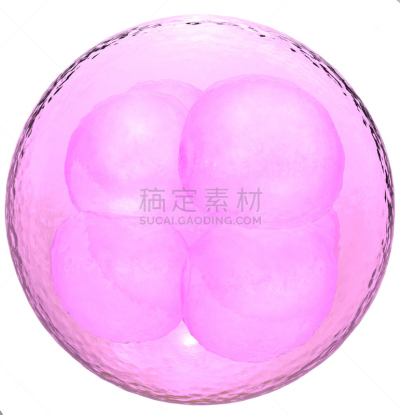 干细胞,拥挤的,动物囊胚,人类囊胚,人工授精,胚胎,膜,胎儿,细胞核,活力