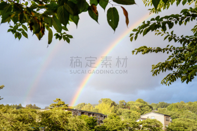 双彩虹,天空,城镇景观,水平画幅,枝繁叶茂,云,无人,湿,夏天,户外