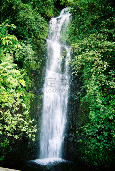 自然美,毛伊岛,夏威夷,瀑布,哈纳,鸡尾酒,热带雨林,河岸,风景,生态旅游