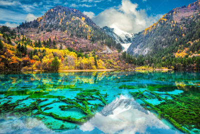 九寨沟 ,山谷,风景,树林,中国,透明,水,湖,非凡的,自然