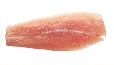 鱼类,冻结的,肉片,水平画幅,无人,生食,膳食,海产,干净,特写
