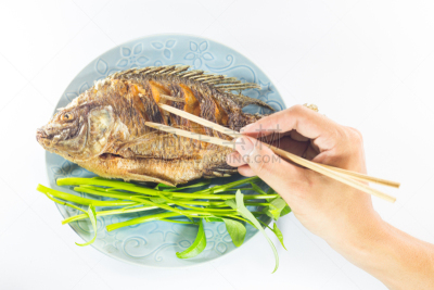 鱼肉,分离着色,白色背景,自然,格子烤肉,水平画幅,无人,洋葱,膳食,海产