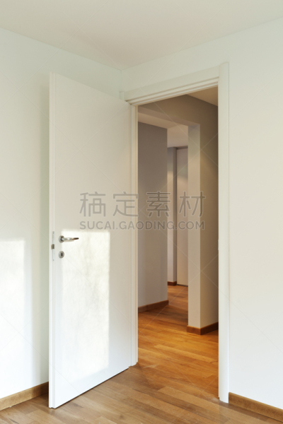 空的,住宅房间,室内,垂直画幅,美,新的,墙,无人,硬木地板,家庭生活