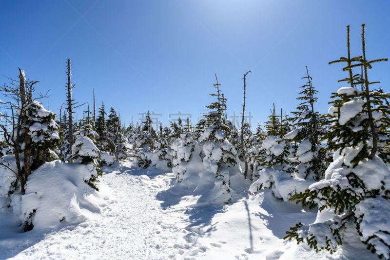 八岳山,雪,北岳山,高尔夫球场,徒步旅行,自然,水平画幅,地形,巴岳山,长野县