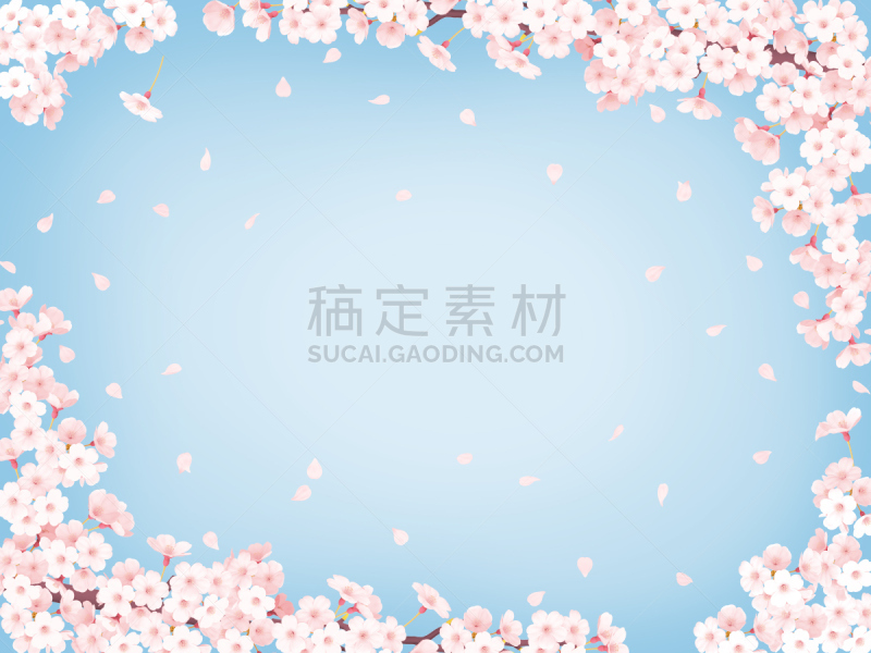樱桃树,边框,樱之花,花瓣占卜,樱花节,桃色,女儿节,花见节,亚洲樱桃树,樱花