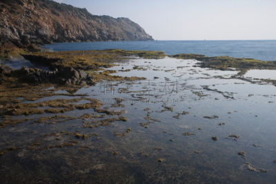 早晨,越南,洞穴,水獭,藩朗,水平画幅,苔藓,旅行者,海岸线,海滩
