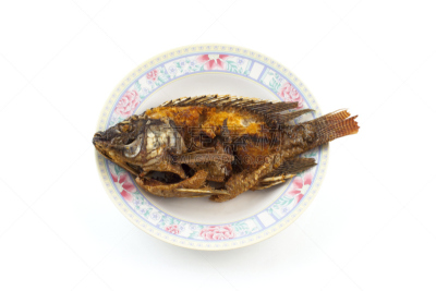 鱼类,白色背景,罗非鱼,分离着色,格子烤肉,水平画幅,膳食,海产,特写,泰国