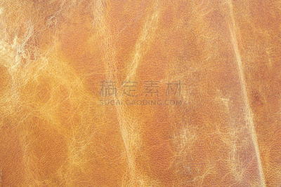 皮革,母牛,晒黑,华贵,褐色眼睛,褐色,动物皮,水平画幅,牛皮,动物身体部位