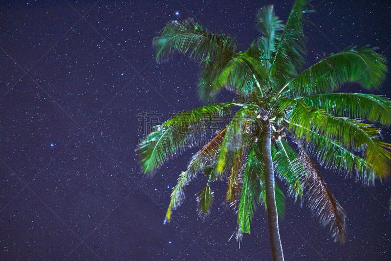 夜晚,棕榈树,彗星,新月形,水平画幅,巴厘岛,无人,月亮,湖,充满的