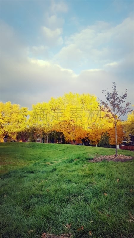 Dans un parc de Montréal durant le mois d'octobre sous le feuillage d'automne.