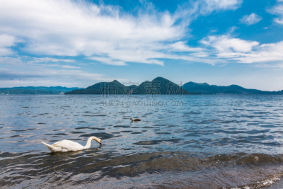湖,日本,北海道,户矢子,水,天空,美,里山,水平画幅,无人