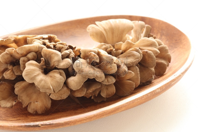 日本,成分,舞茸蘑菇,留白,水平画幅,高视角,无人,蘑菇,白色背景,静物