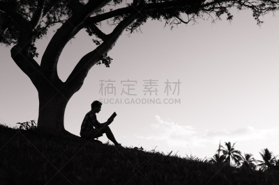 书,男人,留白,休闲活动,夏天,男性,想法,知识,青年人,平和