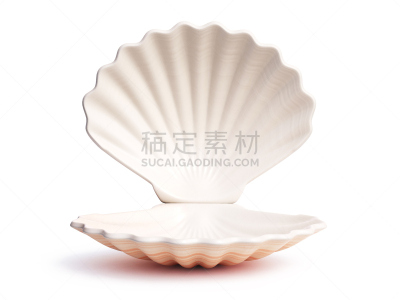 贝壳,开着的,三维图形,无人,水,美,水平画幅,沙子,软体动物,绘画插图