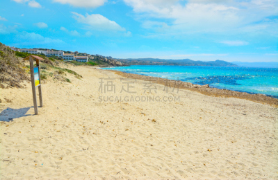 海滩,木制,标志,泰斯塔角,水,天空,水平画幅,沙子,无人
