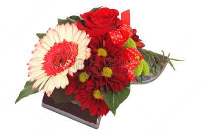 康乃馨,兰花,仅一朵花,花束,白色,彩色图片,仙人掌,情人节,插花,约会