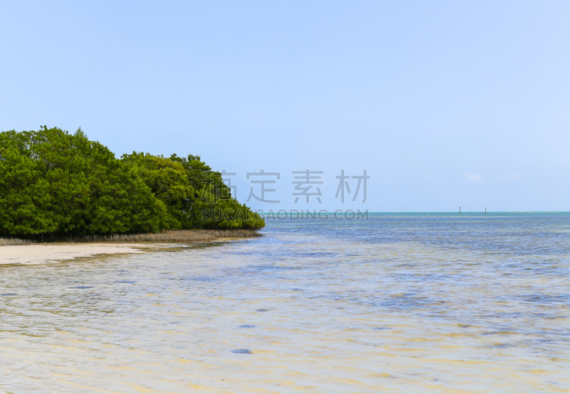 红树,海滩,跨海公路,佛罗里达群岛,墨西哥湾,红树林生境,主干路,水平画幅,大西洋,旅行者