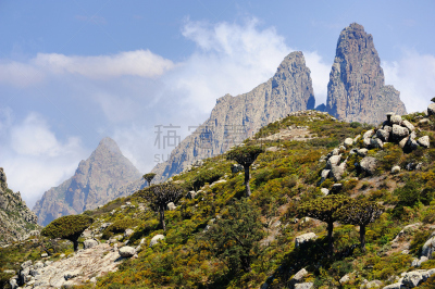 索科特拉岛,也门,岛,山脉,龙血树,天空,美,水平画幅,无人,户外
