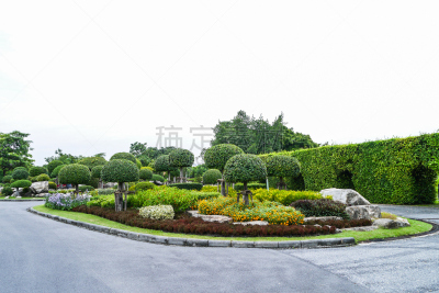树木造型,自然,水平画幅,无人,户外,小树林,灌木,风景,叶子,田园风光