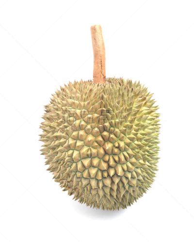 榴莲,白色背景,春药,臭,自然,垂直画幅,气候,水果,异国情调,泰国