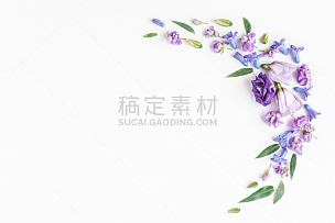 边框,白色背景,多色的,多样,丁香花,花瓣,紫色,风信子,花纹,国际妇女节