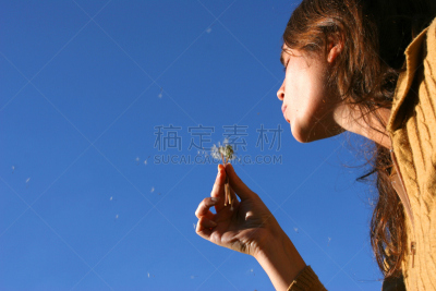 轻的,马勃菇,蒲公英种子,天空,风,水平画幅,夏天,户外,青年人
