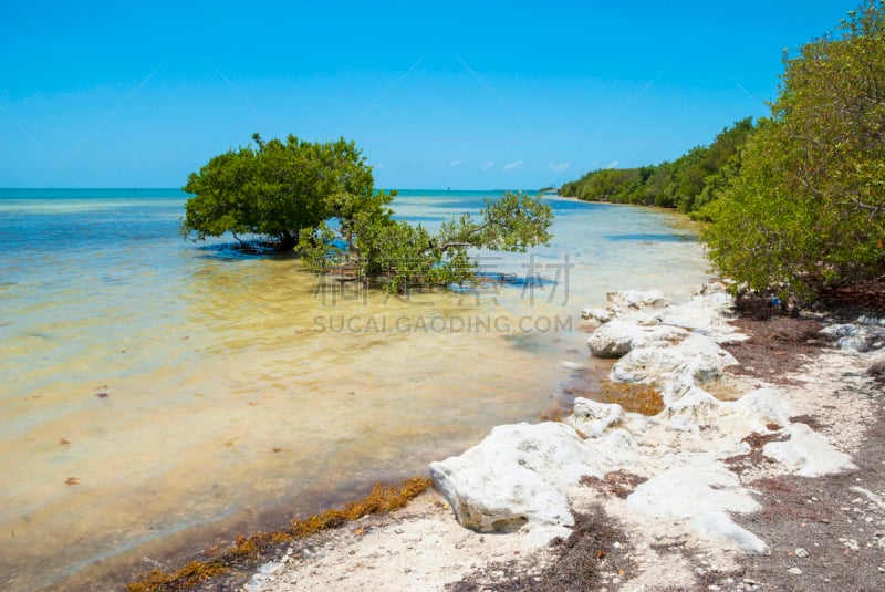 佛罗里达群岛,基韦斯特,海湾沿海,水平画幅,无人,石灰石,夏天,户外,活力,滨水