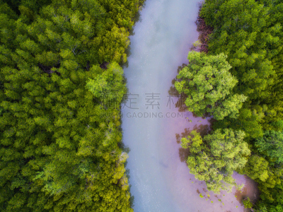 红树林,在上面,河流,绿色,蓝色,看风景,红松,水,水平画幅,高视角