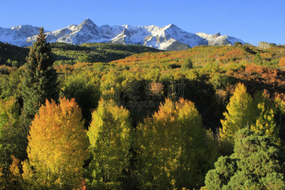 uncompahgre national forest,科罗拉多州,达拉斯市,海登山,斯奈佛尔斯山脉,奥瑞县,白杨类,天空,水平画幅,雪