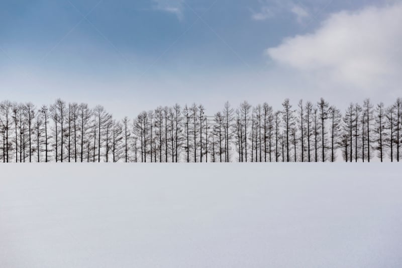 数字7,日本,冬天,山,北海道,拉格啤酒,美瑛町,农业,雪,小的