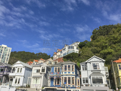 惠灵顿,新西兰,房屋,建筑,惠灵顿地区,维多利亚山,northland region,郊区,水平画幅,无人