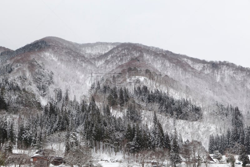 雪,冬天,乡村,白川乡,大井町,反曲刀,合掌屋,岐阜县,天空,水平画幅