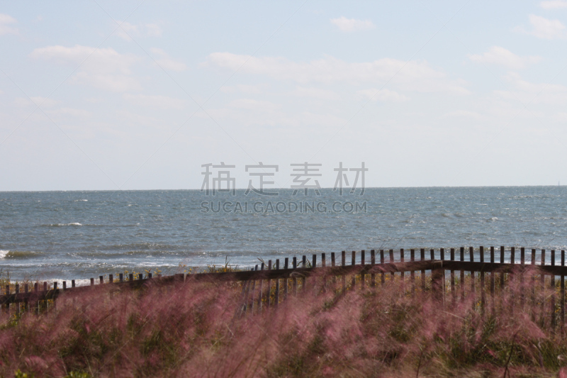 科瓦希岛,南卡罗来那,barrier islands,海草,查尔斯顿,木板路,水平画幅,大西洋,旅行者,户外