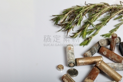环境保护,电池,循环利用,古老的,地球日,枝,蔬菜,活力,农业,有毒废物