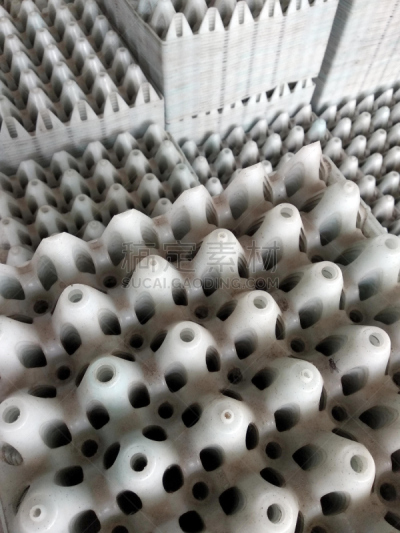 塑胶,卵,茂德,空的,一个物体,食品,鸡蛋,植物,容器,大量物体