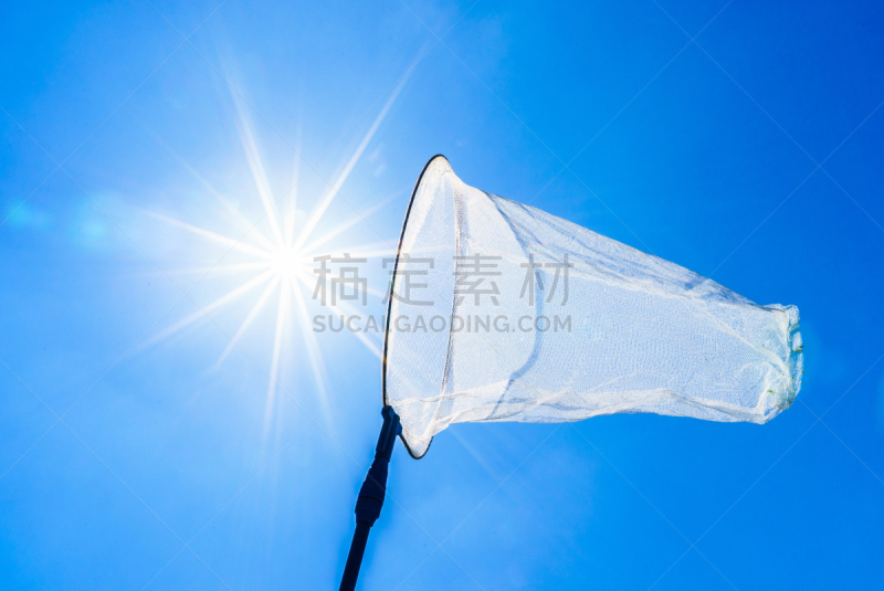 蝴蝶网,昆虫,网,天空,航拍视角,海洋,自由式滑雪空中技巧,编队飞行,尼龙,透镜