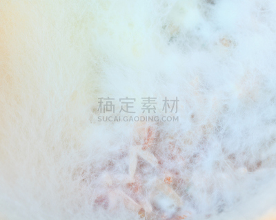 真菌,背景,霉菌,檐口,实验室,食用菌,职业安全与健康,明胶,清洁工