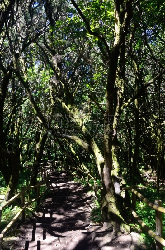 戈梅拉,地形,极端地形,绿色,自然美,宁静,自然,风景,图像,垂直画幅