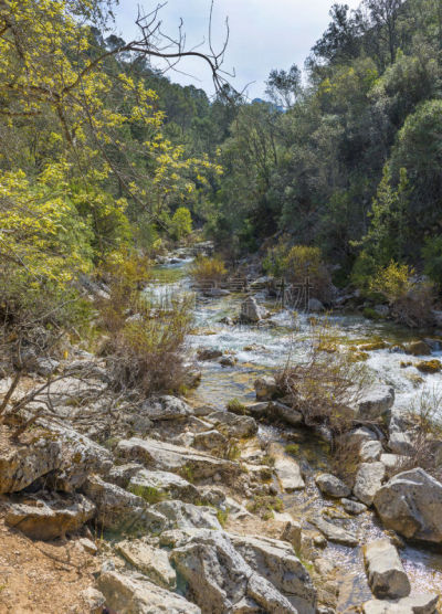 齿状山脊,小路,河流,卡索拉山脉,卡索拉,垂直画幅,水,旅游目的地,绿色,岩石
