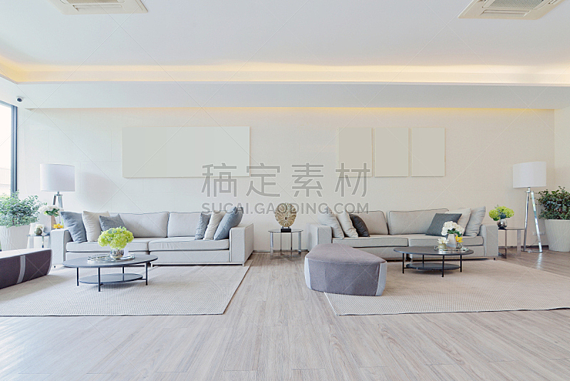 白色,华贵,极简构图,室内设计师,起居室,天花板,居家装饰,美,新的,水平画幅