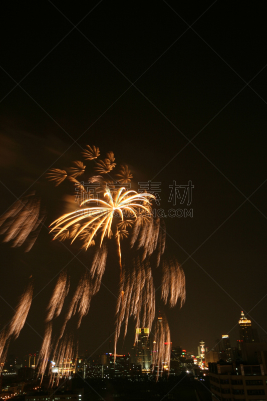 传统节日,城市,垂直画幅,夜晚,无人,宫殿,2015年,放焰火,雾,摄影