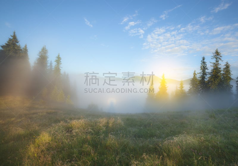 早晨,夏天,雾,地形,布罗肯山的奇观,露水,自然,水平画幅,无人,乌克兰