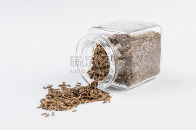 广口瓶,葛缕子籽,分离着色,白色背景,配方,波兰,自然界的状态,香料,食品,成分