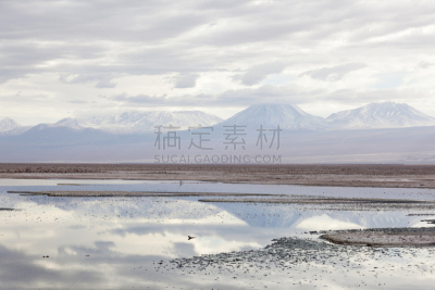 阿塔卡马沙漠,撒拉族,南美,美,水平画幅,沙子,无人,火山地形,野外动物,户外