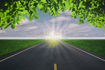 叶子,绿色,路,天空,美,留白,边框,水平画幅,云,无人