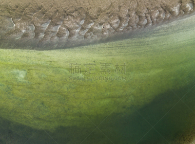 航拍视角,新西兰,北,海滩,奥克兰,维雷亚海滩,奥克兰区,正面视角,水,水平画幅